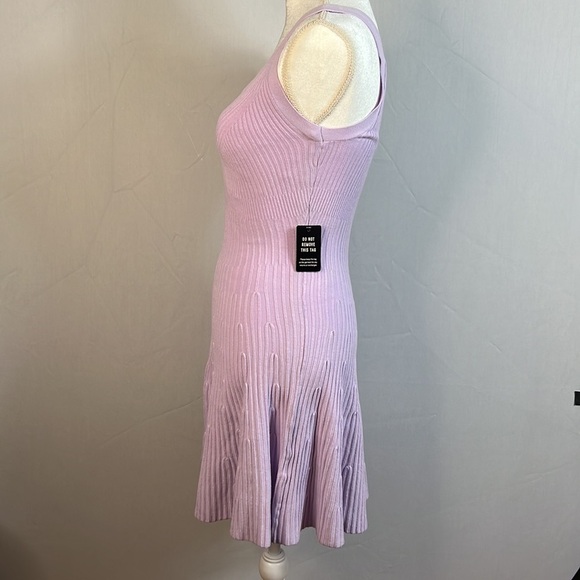 NWT Express Lavender Fit & Flared Ribbed Sweater Dress Size Small - Picture 5 of 9